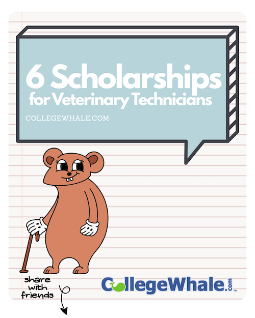 6 Scholarships for Veterinary Technician Students